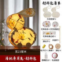 Mid-Autumn Festival non-legacy fish lantern handmade DIY lantern portable luminous lantern