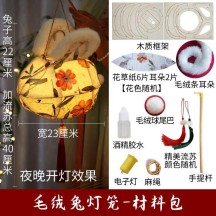 Mid-Autumn Festival non-legacy fish lantern handmade DIY lantern portable luminous lantern