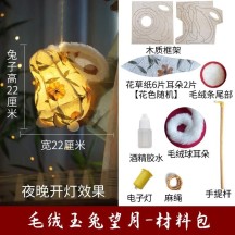 Mid-Autumn Festival non-legacy fish lantern handmade DIY lantern portable luminous lantern