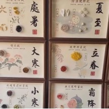 24 solar terms Chinese medicine specimens DIY Chinese medicine cultural and creative decorative paintings