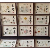 24 solar terms Chinese medicine specimens DIY Chinese medicine cultural and creative decorative paintings