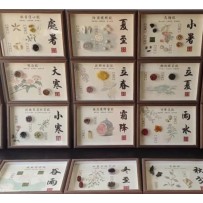 24 solar terms Chinese medicine specimens DIY Chinese medicine cultural and creative decorative paintings