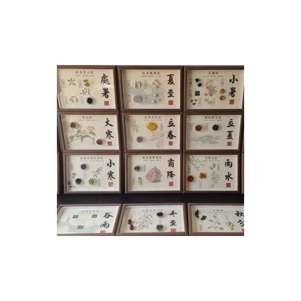 24 solar terms Chinese medicine specimens DIY Chinese medicine cultural and creative decorative paintings 24 solar terms Chinese medicine specimens DIY Chinese medicine cultural and creative decorative paintings