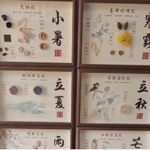 24 solar terms Chinese medicine specimens DIY Chinese medicine cultural and creative decorative paintings