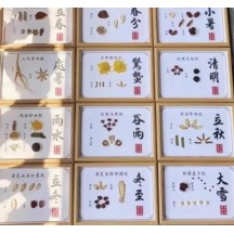 24 solar terms Chinese medicine specimens DIY Chinese medicine cultural and creative decorative paintings