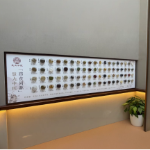 Chinese medicine specimen hanging painting medicine and food have the same origin twenty-four solar terms