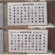 Chinese medicine specimen hanging painting medicine and food have the same origin twenty-four solar terms