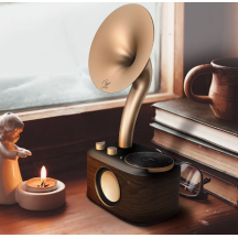 Wedding gift for bride and groom, practical high-end audio gift