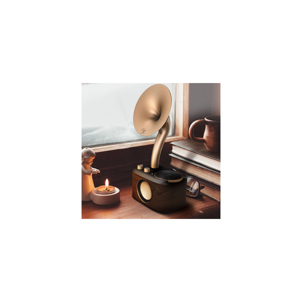 Wedding gift for bride and groom, practical high-end audio gift Wedding gift for bride and groom, practical high-end audio gift