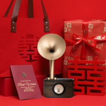 Wedding gift for bride and groom, practical high-end audio gift