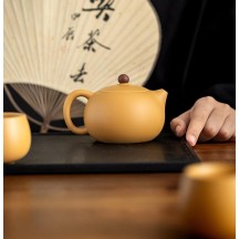 Master-Crafted Golden Duan Ni Zisha Xi Shi Teapot – Traditional Clay Teapot for Brewing Tea