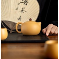 Master-Crafted Golden Duan Ni Zisha Xi Shi Teapot – Traditional Clay Teapot for Brewing Tea