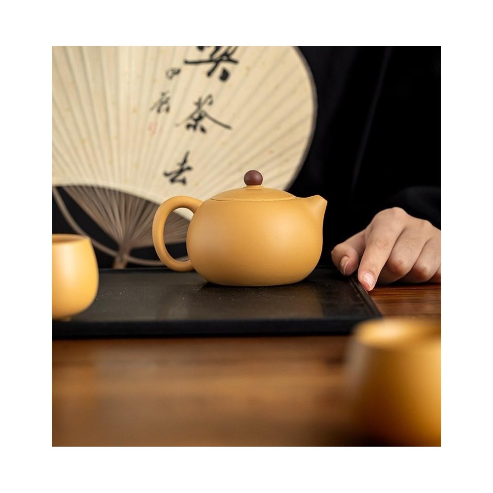 Master-Crafted Golden Duan Ni Zisha Xi Shi Teapot – Traditional Clay Teapot for Brewing Tea Master-Crafted Golden Duan Ni Zisha Xi Shi Teapot – Traditional Clay Teapot for Brewing Tea