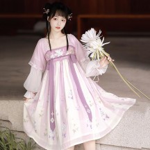 Women's Hanfu-Inspired Embroidered Qi-Xiong Ruqun – Chinese Style