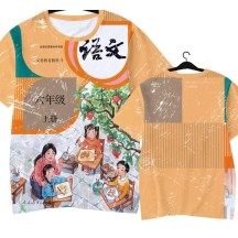 Chinese textbook language cover quick-drying short-sleeved T-shirt ice silk half-sleeve